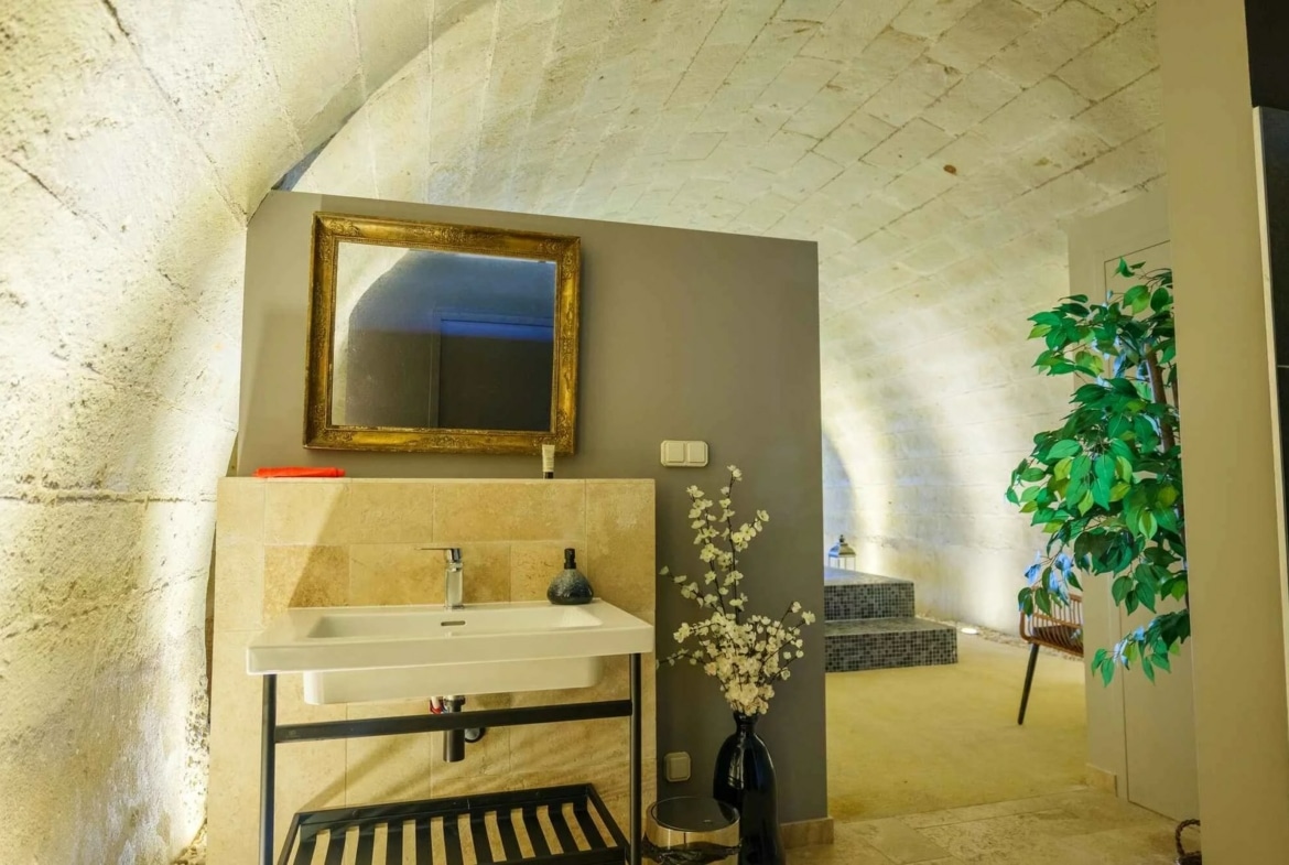 Chateau de Candes Full Estate